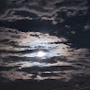 Meet your Posher, Peter